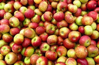 diet apel untuk menurunkan berat badan